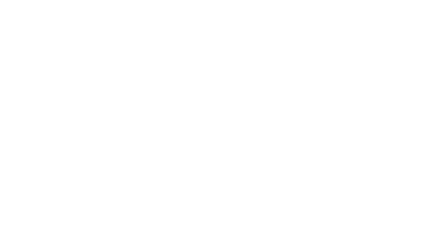 Time Machine Europe Auctuss 3D